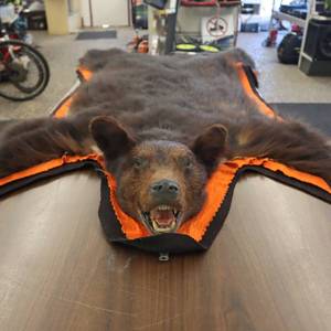lot 286 image: Vintage Montana Bear Skin Rug woriginal tags