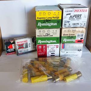 lot 281 image: Shot Gun Ammunition - Partial Boxes (124 rounds total) - Mixed 20Gauge Shells - Winchester - Remington - Federal 