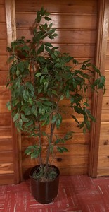 lot 196 image: Fabulous Faux Ficas Tree