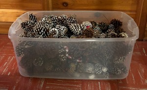 lot 206 image: Bin of Decorative Pinecones