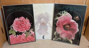 lot 288 image: Three Large Minnesota Arboretum Floral Prints