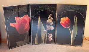 lot 200A image: Three Large Framed Minnesota Arboretum Prints