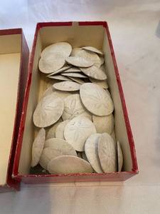 Collection of Sand Dollars in Vintage Charles Krug Winery Box