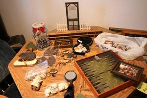 lot 508 image: Moose decor, glass chess board and ...