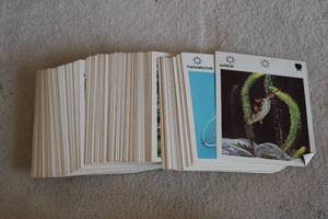 lot 579 image: Animal identification cards with de...