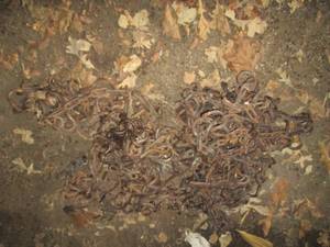 lot 54 image: Set of heavy duty tire chains...