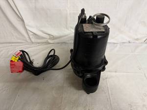 lot 77 image: Dayton Sump Pump
