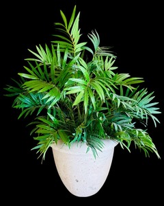 lot 98 image: Beautiful Plaster Pot with Faux Greens