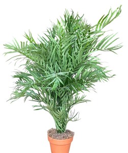 lot 81 image: Lovely Faux Plant in Planter by Bachmans  Permanent Arrangement Areca Palm