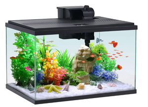 lot 669 image: Aqua Culture 10-Gallon Glass Aquarium Starter Kit