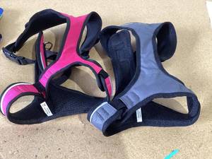 lot 491 image: LOT OF 2 PetSafe EasySport Dog Harness, Adjustable, Padded with Handle, Reflective, Medium, Pink and Gray