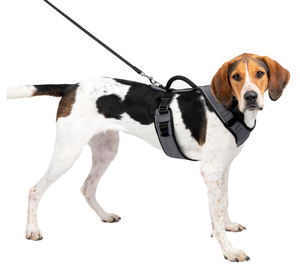 lot 492 image: PetSafe EasySport Dog Harness - Padded, Adjustable Dog Harness with Control Handle and Reflective Piping - Large, Charcoal