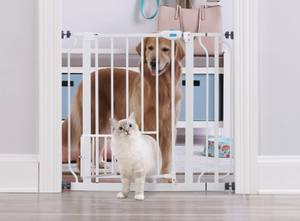 lot 694 image: Carlson Extra Wide Walk-Through Pet Gate with Small Pet Door, Fits Openings 29-36.5 Wide, Metal