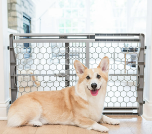 lot 695 image: Carlson Pet Products Expandable Pet Gate, 28-42 Wide x 23 Tall, Pressure Mounted, Gray