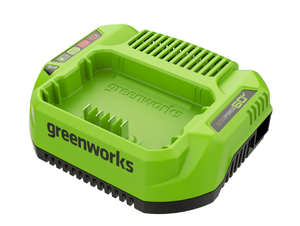 lot 714 image: Greenworks 60V 3 Amp Charger 1807702