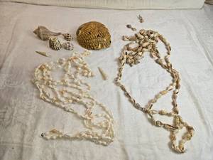 lot 324 image: Variety of Sea Shells and Shell Necklace or Pot Hanger
