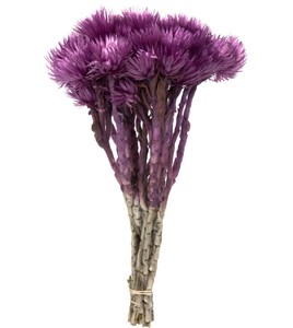 lot 118 image: Pallet of Store Overstock Vickerman Product and Returns - UNPROCESSED