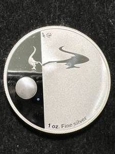 lot 82 image: 1 TROY OZ .999 FINE SILVER 2009 AUSTRALIAN ROUND