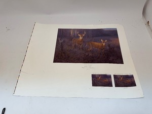 lot 54 image: Courting Disaster by Hayden Lambson