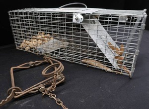 lot 31 image: VINTAGE VICTOR CONI BEAR TRAP AND LIVE TRAP