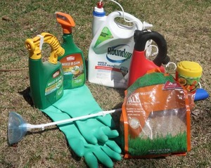 lot 90 image: WEED KILLER & SEED MIX WITH BONUS GLOVES