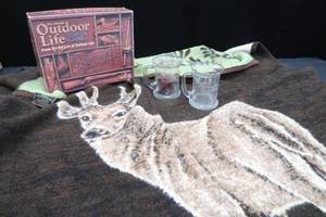 lot 229 image: OUTDOOR BLANKET, GAME, AND MORE