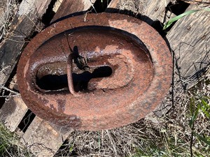 lot 225 image: Oval Cast Iron Pot Cover