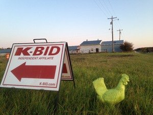 Auction Info