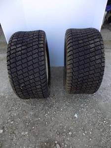 lot 201 image: 2 Lawn Mower Tires & Rims