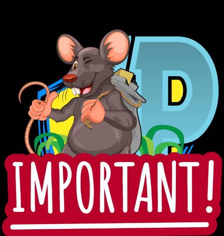 lot 1 image: IMPORTANT INFORMATION