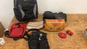 lot 113 image: Collection of 7 Assorted Bags and Accessories