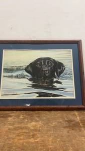 lot 247 image: Framed Artwork of a Black Labrador Swimming by S.P. Hamrick