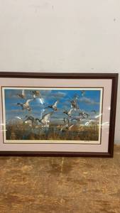 lot 276 image: Framed Limited Edition Print Vics Pond - Mallards by Michael Sieve