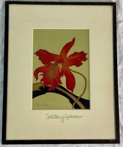 lot 33 image: Solitary Splendor Orchid Framed Art Print by Sybil Shane