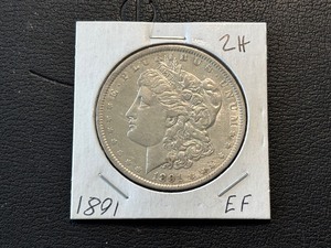 1891 Morgan Dollar