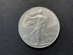 lot 89 image: 2024 Silver Eagle