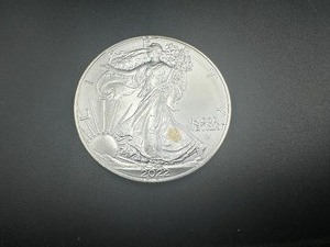lot 19 image: 2022 BU 1oz Silver Eagle, Lower Mintage Year