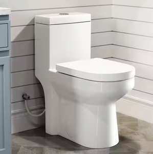 Hanikes One-Piece 1.1/1.6 GPF Dual Flush Round Toilet in White Soft Close Seat Included