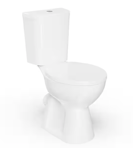 lot 111 image: Rear-Outlet Dual Flush Round Toilet in White Simple Project 19 in. Tall Toilet