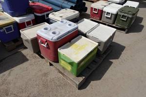 lot 223 image: Pallet of Coolers