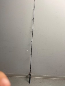 lot 117 image: Zebco Adventure Series Rod