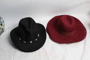 lot 299 image: Set of 2 Womens Wool Hats by Four Buttons and Michael Stars