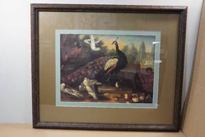 lot 108 image: Framed Peacock Print