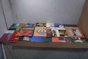 lot 255 image: Assorted Vinyl Records - Daniel Boone, The Hollies