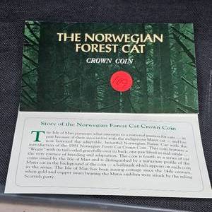 lot 109 image: 1991 Crown Cat, Norwegian Forest Cat,