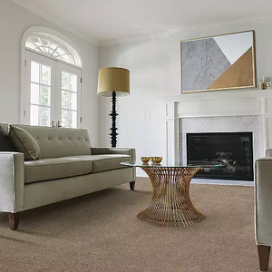 lot 309 image: 270 Sq Ft. Mohawk Smart Stands SILK Noble Tones Color Quiet Light Plush Carpet  12 x 18.9 and 7 x 8