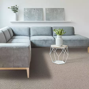 600  sq ft Mohawk Attractive Trend Color Malted #883  Carpet  12 x 50'