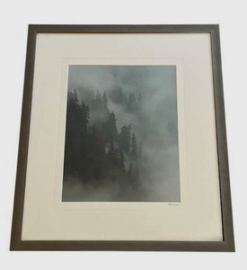 lot 181 image: Framed and Signed Nancy Brenny Photograph (19 x 22)