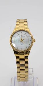 Skagen Woman's Watch