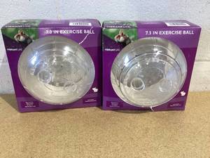 lot 528 image: LOT OF 2 Vibrant Life Exercise Ball 7.3 Large Clear